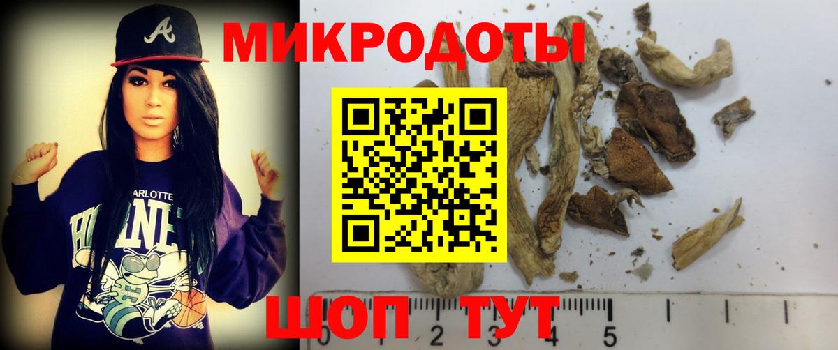 Галлюциногенные грибы Psilocybe Феодосия